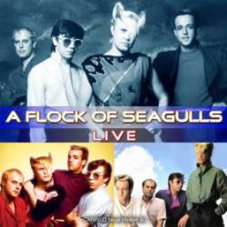 A Flock Of Seagulls : Live